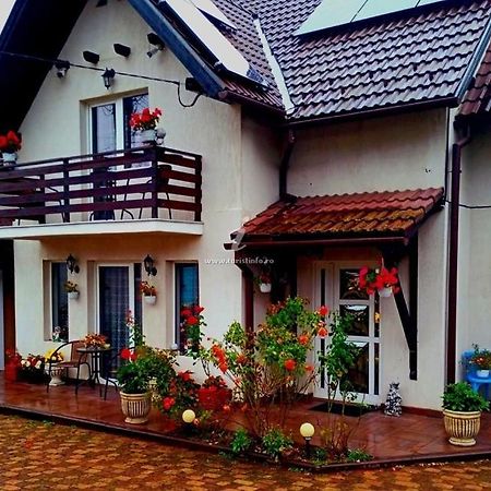 Edelweiss Ilinca Zarnesti Exterior foto
