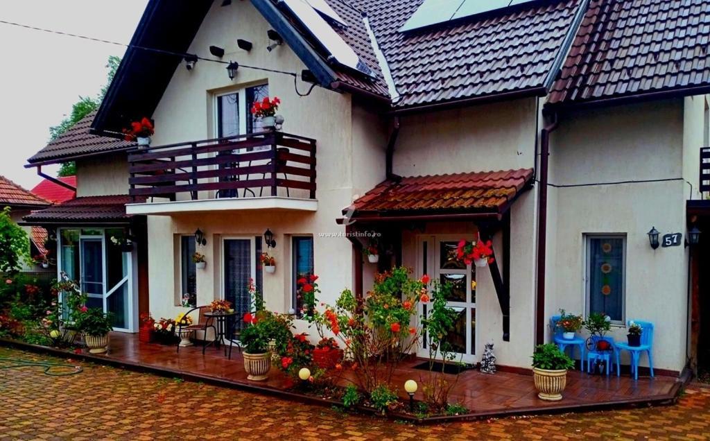 Edelweiss Ilinca Zarnesti Exterior foto