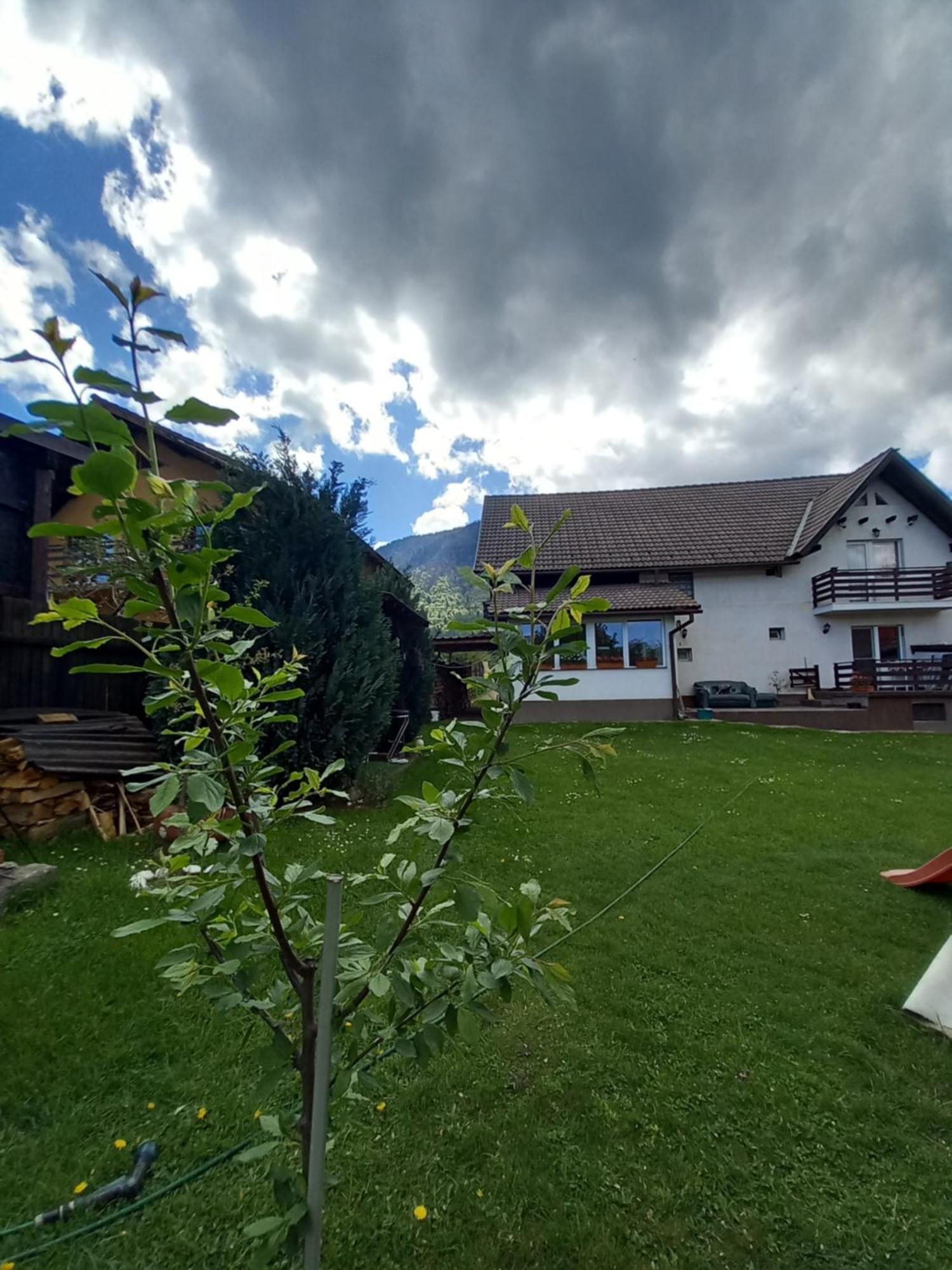 Edelweiss Ilinca Zarnesti Exterior foto