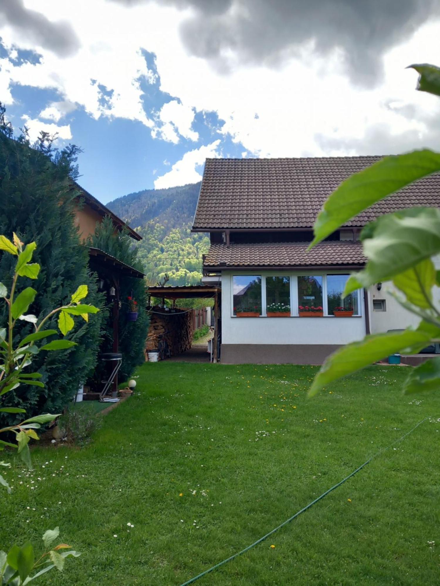 Edelweiss Ilinca Zarnesti Exterior foto