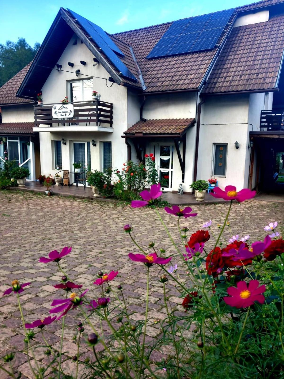 Edelweiss Ilinca Zarnesti Exterior foto